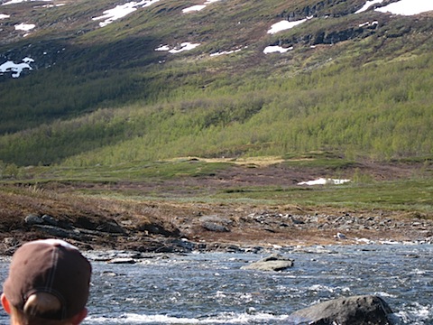 Abisko Juni 2009 dag 4 - 33.jpg